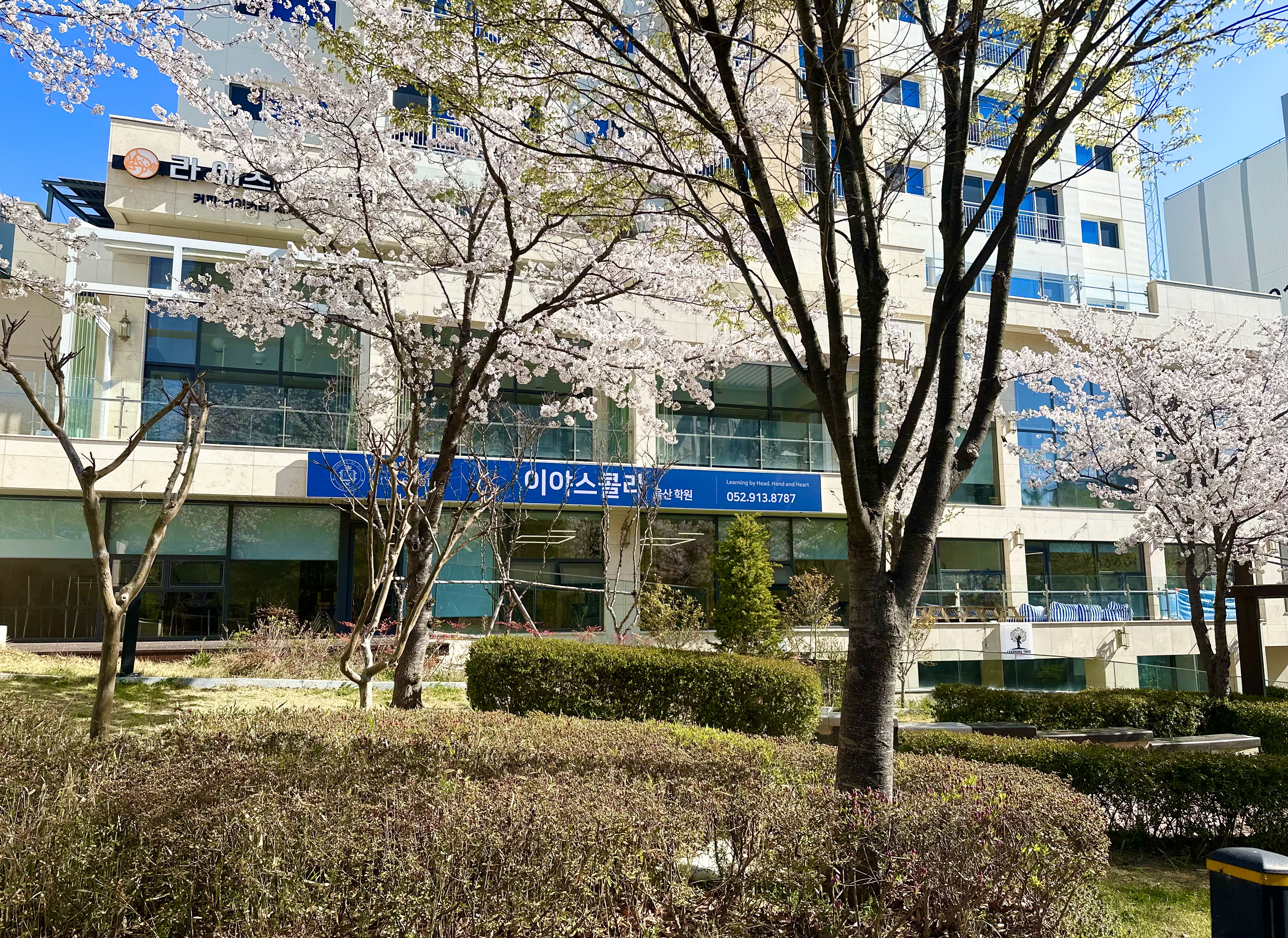 이야스콜라 어학원 대표 이미지