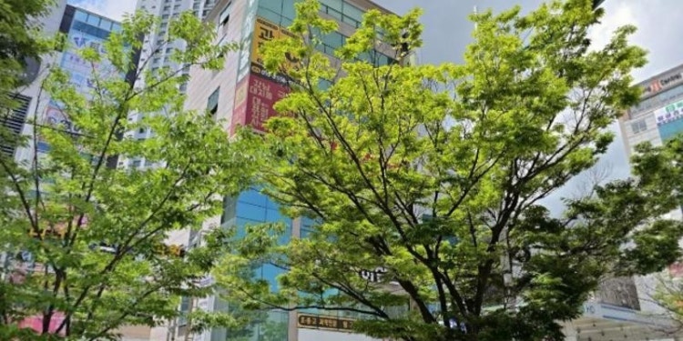 권미근수학전문 학원 대표 이미지