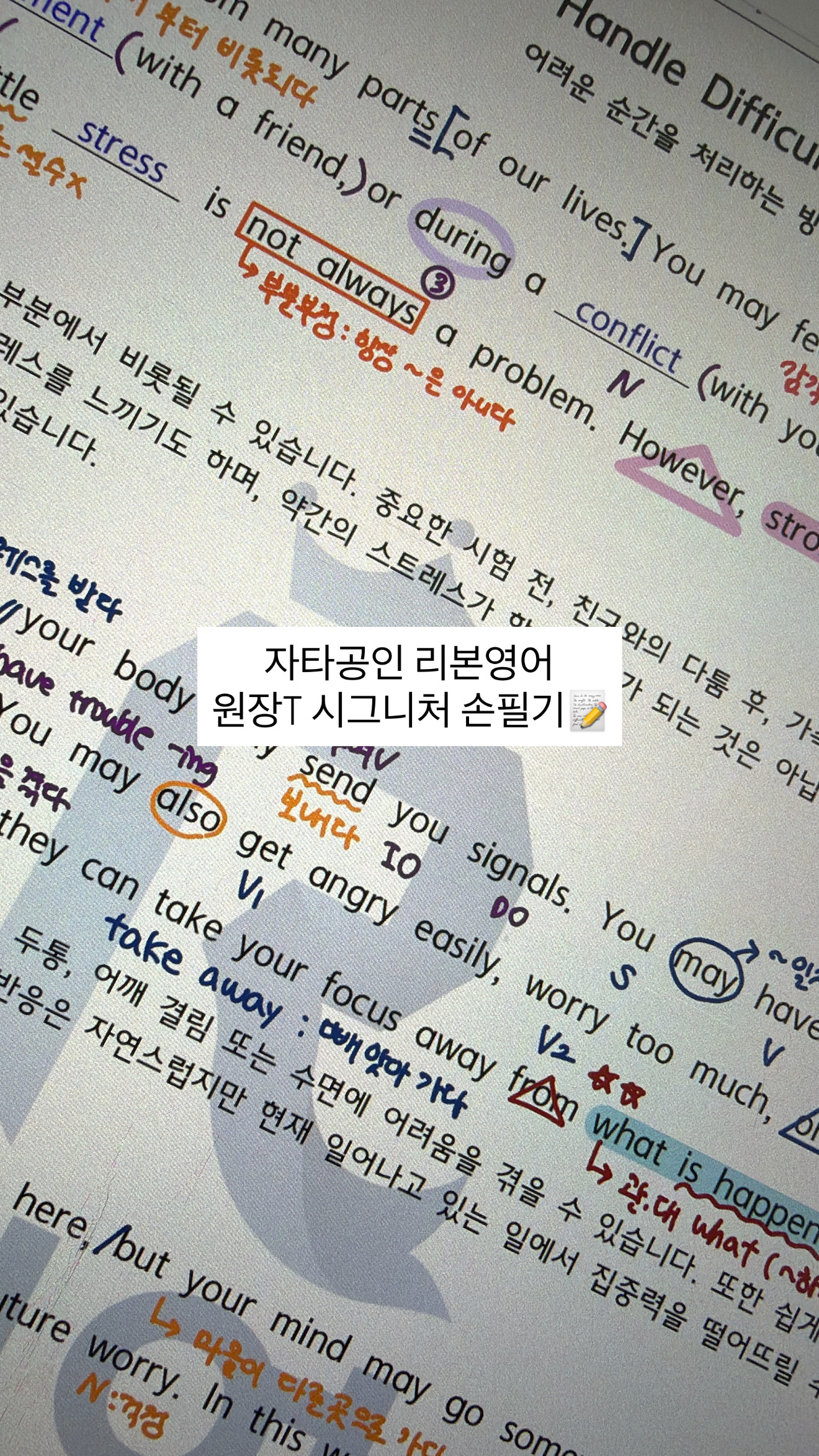 리본영어학원 사진 3