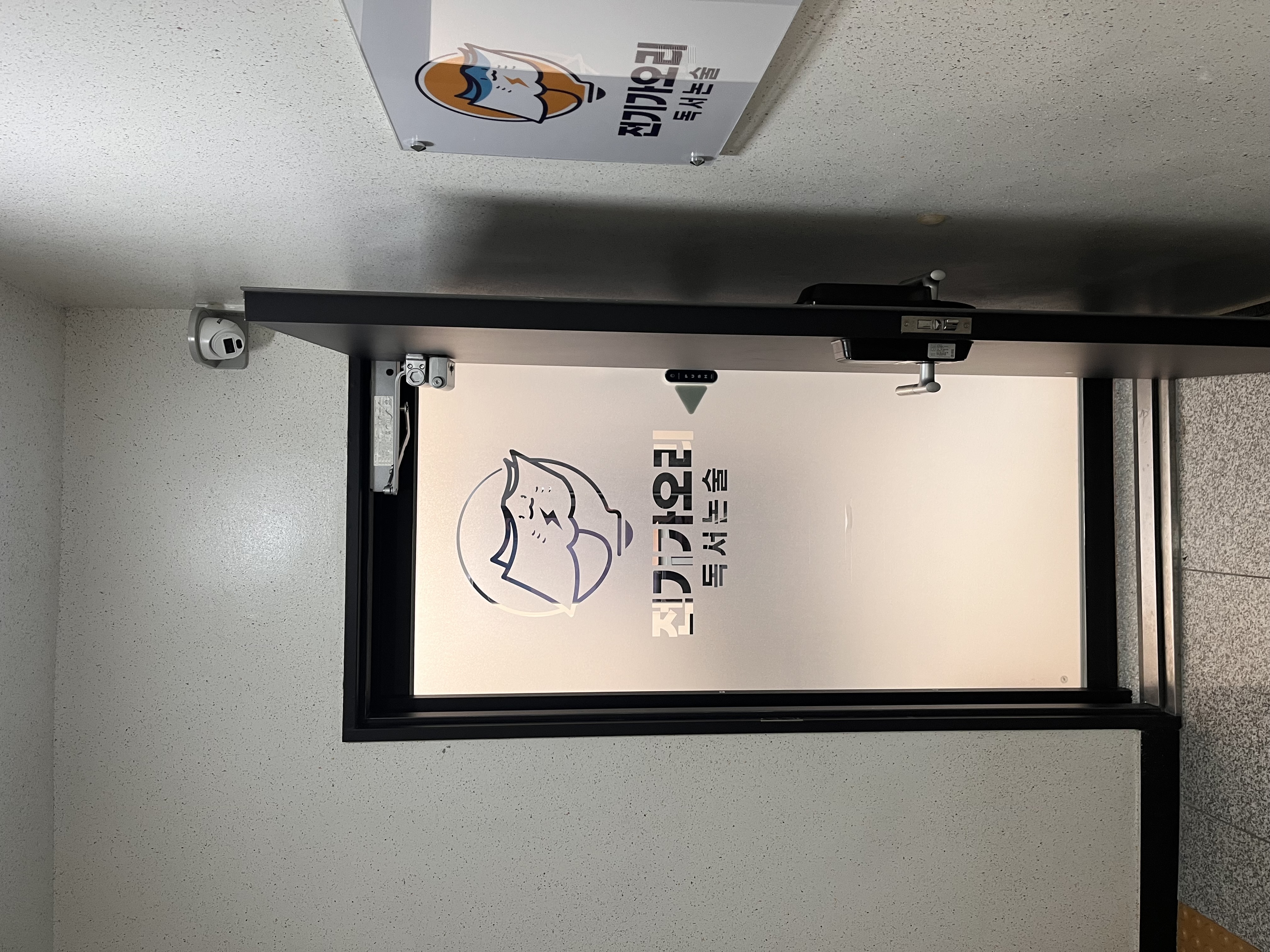 전기가오리 독서논술